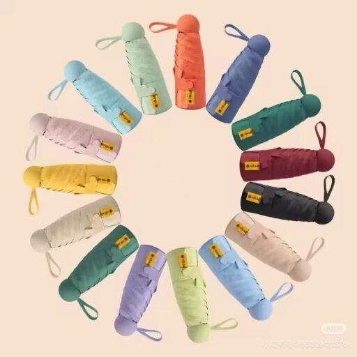 Daily and Folding Umbrellas