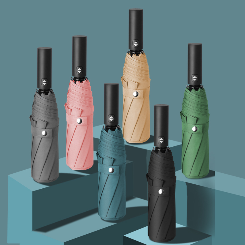 Daily and Folding Umbrellas